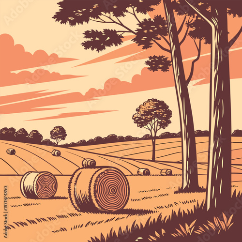 Rural field landscape with round hay bales and trees at sunset illustration