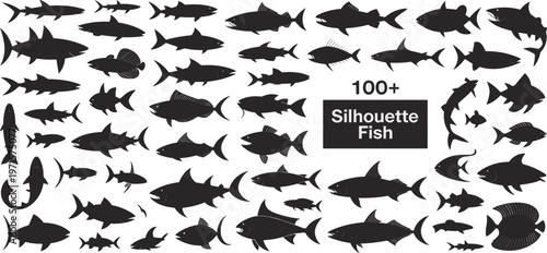 Diverse collection of fish silhouettes swimming in water.