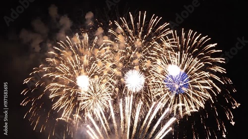 Fireworks exploding in the night sky.