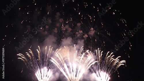 Fireworks exploding in night sky.