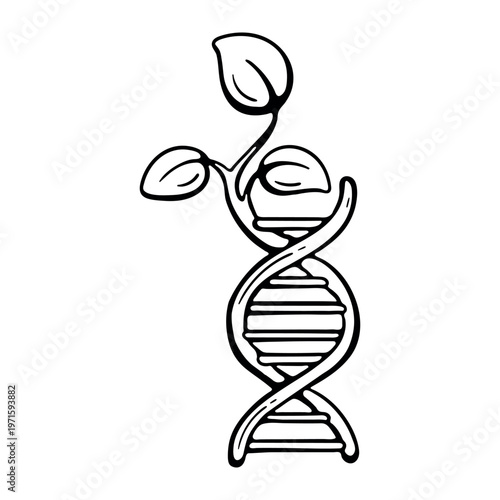 Eco DNA vector icon. Hand drawn doodle illustration of a genetic double helix growing into plant leaves. Concept of bioengineering, biotechnology, organic evolution, and modified natural life