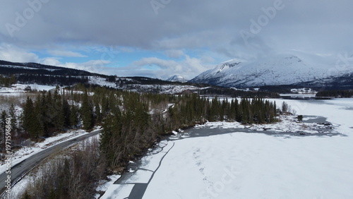 Snowy landscape with trees and mountains in a cold weather scene