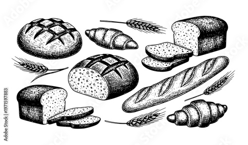 Vintage engraving bread and bakery doodle set hand drawn wheat baked goods vector illustration