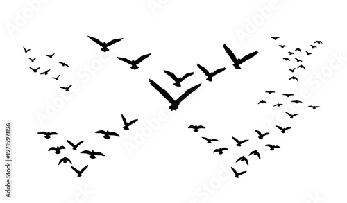 Grunge brush flying birds flock set hand drawn marker style sky silhouettes vector