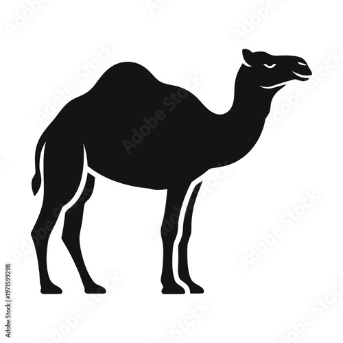 Black silhouette of a dromedary camel standing, depicted in a simple graphic style on a white background.