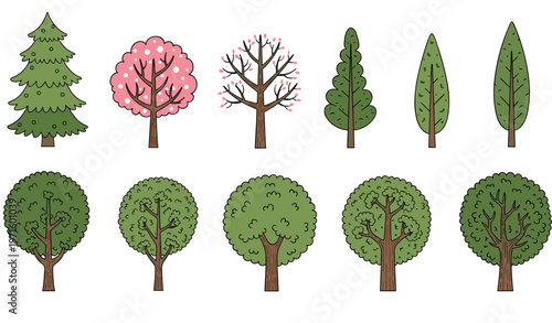 Different tree varieties vector set with pine, flowering and leafy trees, forest and garden plants illustration isolated on white background
