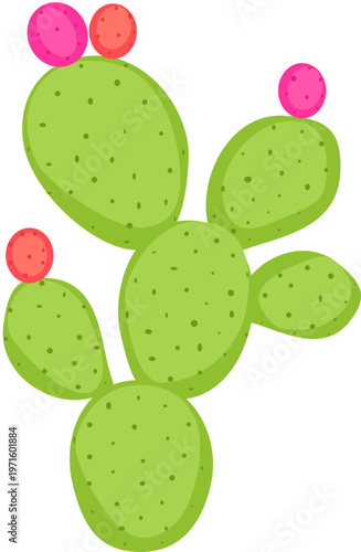 Prickly pear cactus flat vector illustration with green pads and pink fruits, isolated botanical desert plant clipart in a clean modern style, decorative succulent element for summer, garden