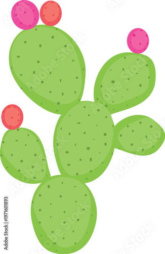 Prickly pear cactus flat vector illustration with green pads and pink fruits, isolated botanical desert plant clipart in a clean modern style, decorative succulent element for summer, garden