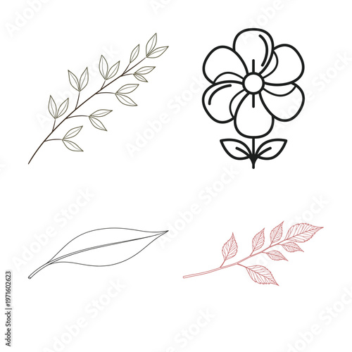 Botanical sketches delicate floral and foliage line art collection