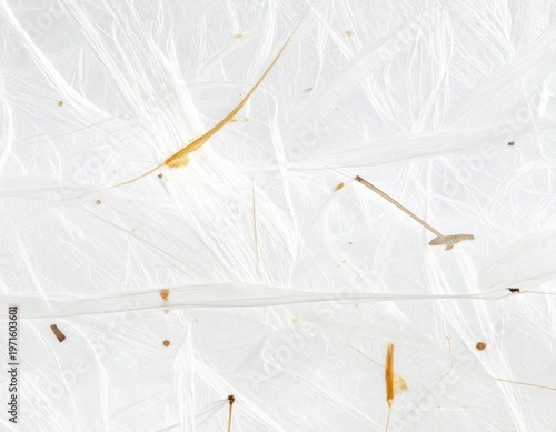 Delicate Textures of White Fibers with Natural Leaf Accents