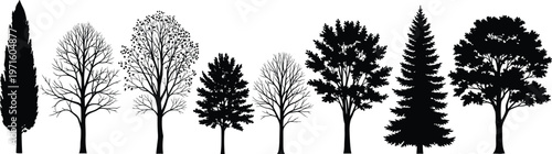 A striking black and white illustration showcases a diverse collection of silhouetted trees each with unique forms and textures high quality professional detailed