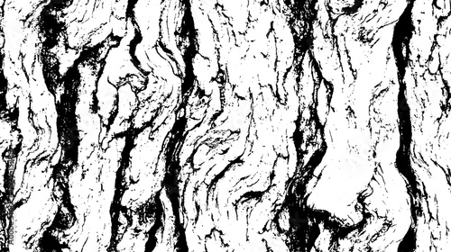 Texture of tree bark