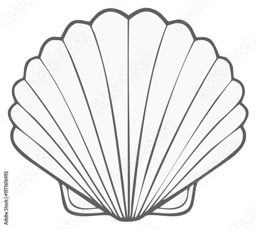 Elegant scallop shell line art illustration ocean marine creature simple vector graphic icon