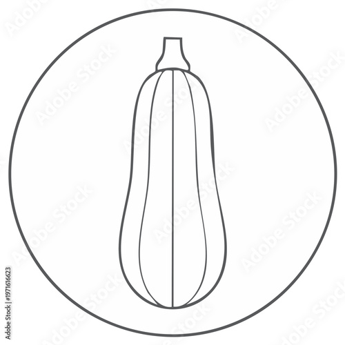 Outline of Butternut Squash in Circle Fresh Vegetable Minimalist Line Art