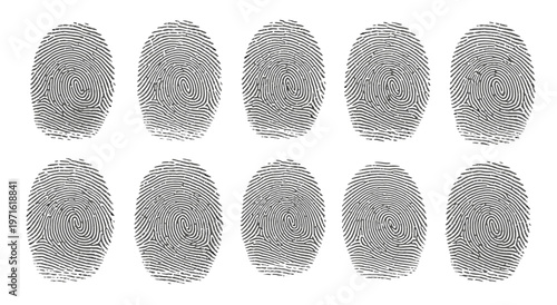 Ten small grey oval textured objects arranged in two rows on a white background.