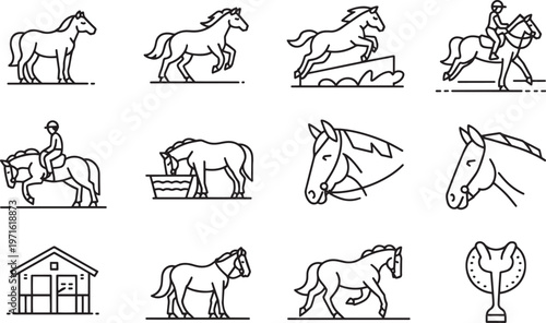 Horses in various poses and actions with rider barn and saddle