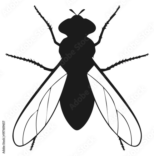 Black silhouette of a fly with transparent wings and hairy legs top view