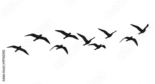 A flock of black birds silhouetted in flight against a white background