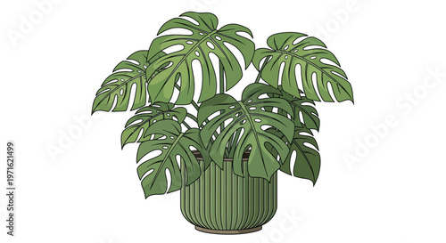 A vibrant illustration of a monstera deliciosa plant in a pot