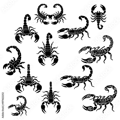 Dangerous Scorpion Silhouette Collection Venomous Desert Insect Artistic Vector Pack