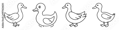 Four adorable cartoon ducks stand side by side in black outline