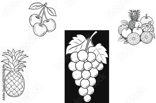 Black and white hand drawn assorted fruits apples strawberries
