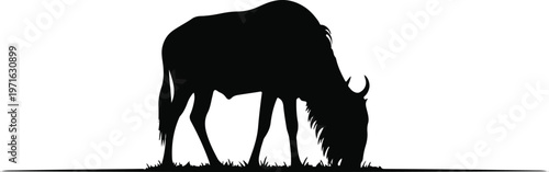 Wildebeest silhouette grazing on grass, African gnu vector illustration, black animal profile on white background, safari wildlife graphic