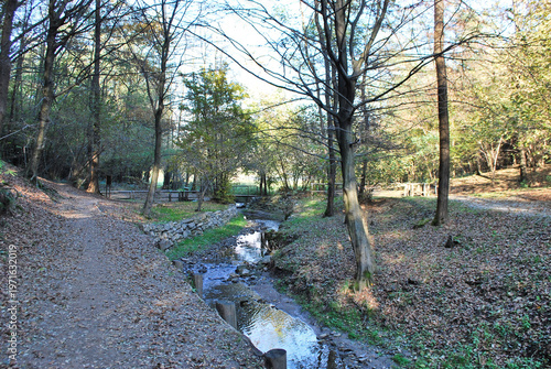 Il sentiero della Valbasca nel Parco Spina Verde ad Albate, quartiere di Como, Lombardia, Italia.