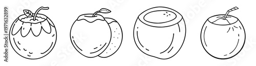 Four doodle style coconuts with stems and straws isolated on white