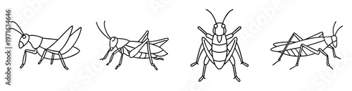 Line art illustration of four grasshoppers in varying poses and perspective