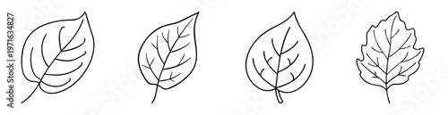 Four black outlined leaf icons on a white background each is different