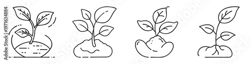 Collection of line art drawings depicting plant growth from seed to sprout