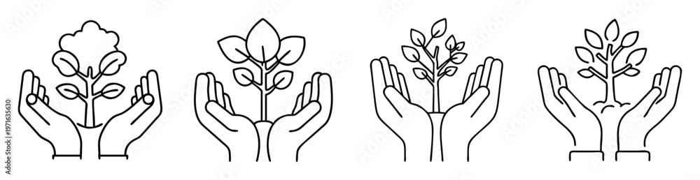 Obraz premium Hands holding small trees seedlings, symbol of care for nature and growth