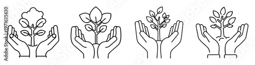 Hands holding small trees seedlings, symbol of care for nature and growth