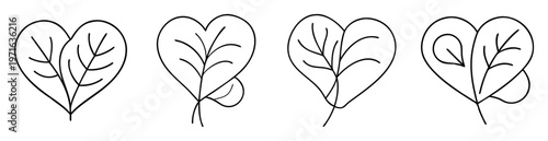 Four heart shaped leaves with stems in outline drawing on white