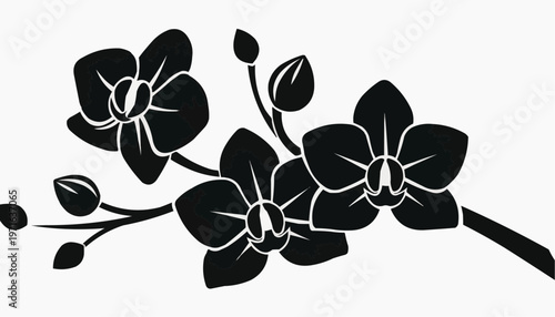 Black silhouette of orchid flowers. Vector illustration. stock illustration