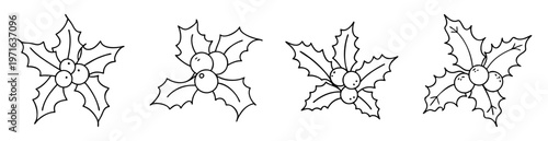 Four Hand Drawn Holly Sprigs with Berries Line Art Illustration Style
