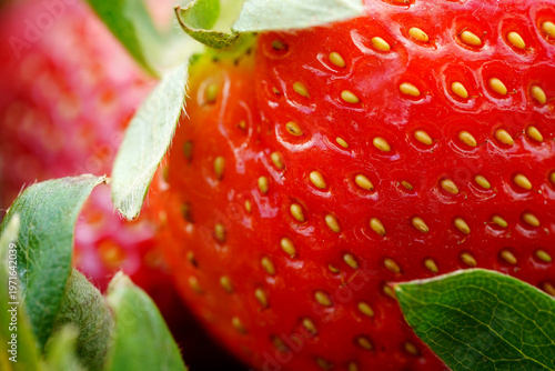Extreme Macro Detail of Fresh Ripe Strawberry with Seeds and Green Leaves