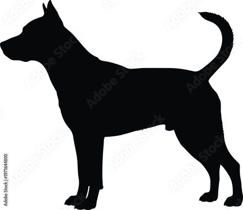 A striking silhouette depicts a sleek athletic dog standing in profile showcasing its muscular build and distinctive posture high quality professional detailed modern