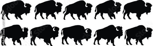 Wild bison silhouettes in side profile, wildlife illustration artwork, nature animal design, prairie livestock logo, countryside background for educational projects
