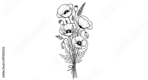 Elegant floral arrangement a black and white sketch of poppies wheat and delicate greenery