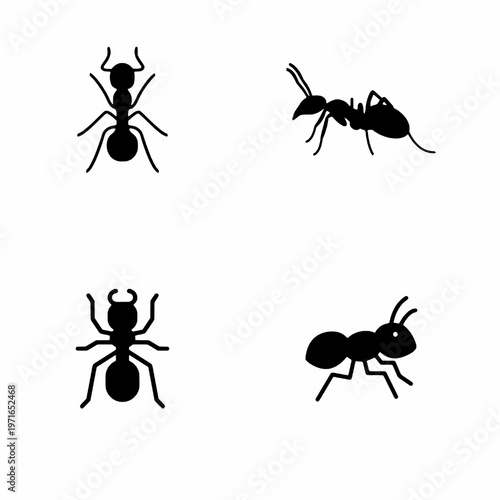 set of ants vector illustration
