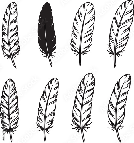 Collection of eight black and white hand drawn feathers with detailed barbs and central quills also transparent background