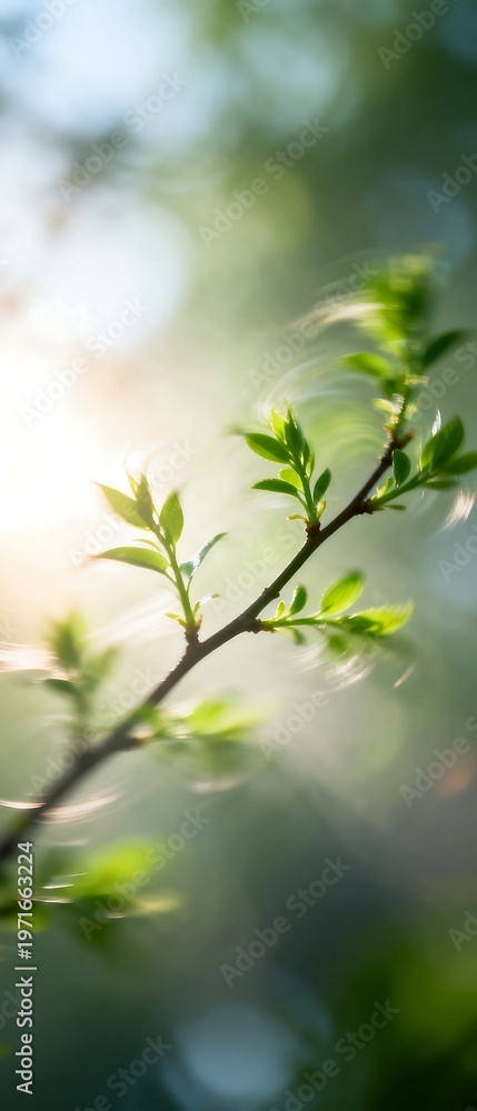 Fototapeta premium Spring Branch with Fresh Green Leaves in Sunlight