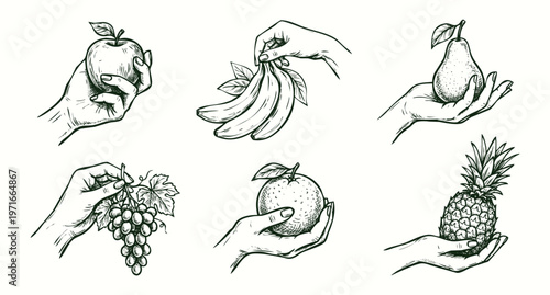 Vintage Hand Drawn Illustration Set of Hands Holding Various Fresh Fruits