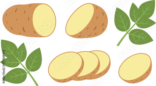 Potato slices and leaves on white background
