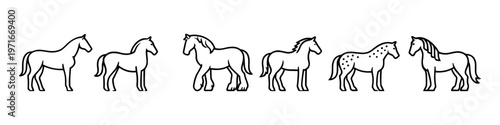 Collection of stylized horse illustrations in various breeds and poses
