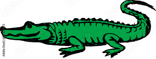 Hand drawn green crocodile vector illustration. Rough sketch alligator or caiman isolated on white background.