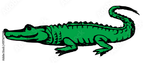 Hand drawn green crocodile vector illustration. Rough sketch alligator or caiman isolated on white background.