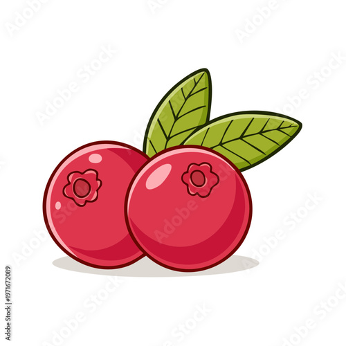 Two bright red cranberries with green leaves in a clean cartoon style.